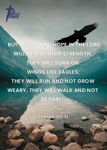 Rotator image unavailable